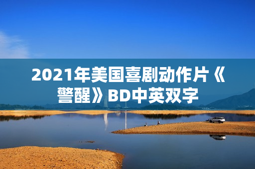 2021年美国喜剧动作片《警醒》BD中英双字