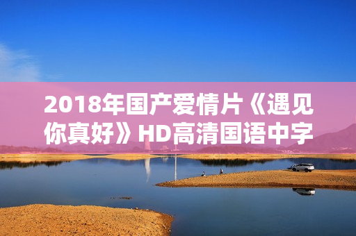 2018年国产爱情片《遇见你真好》HD高清国语中字