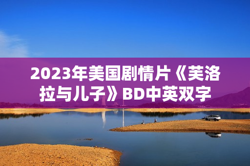 2023年美国剧情片《芙洛拉与儿子》BD中英双字