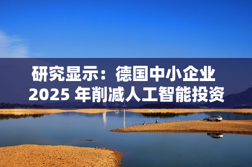 研究显示：德国中小企业 2025 年削减人工智能投资