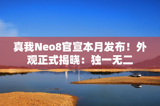 真我Neo8官宣本月发布！外观正式揭晓：独一无二