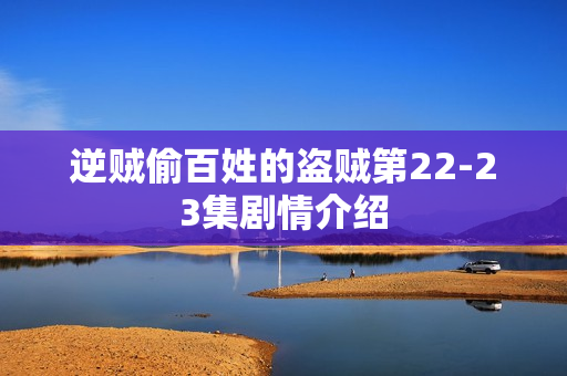 逆贼偷百姓的盗贼第22-23集剧情介绍