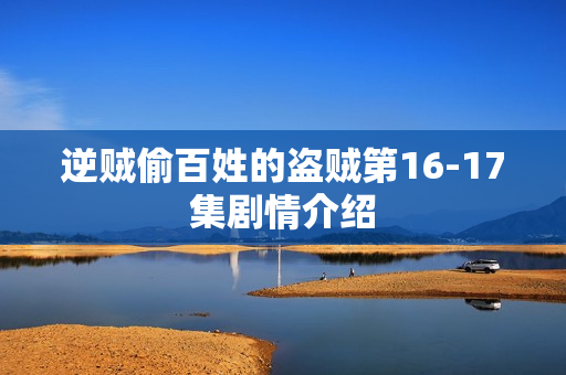 逆贼偷百姓的盗贼第16-17集剧情介绍