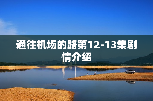 通往机场的路第12-13集剧情介绍