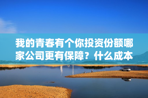 我的青春有个你投资份额哪家公司更有保障？什么成本？投资收益多少？(我的青春有个你演员表)