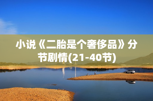 小说《二胎是个奢侈品》分节剧情(21-40节)