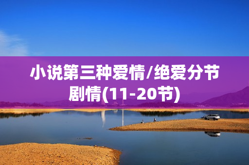 小说第三种爱情/绝爱分节剧情(11-20节)