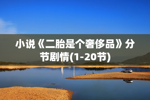 小说《二胎是个奢侈品》分节剧情(1-20节)