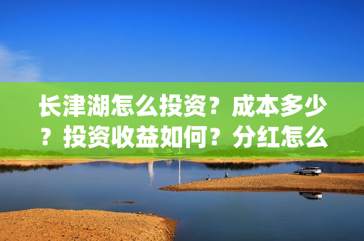 长津湖怎么投资？成本多少？投资收益如何？分红怎么分？(长津湖的投资额)