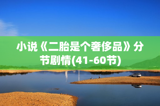 小说《二胎是个奢侈品》分节剧情(41-60节)