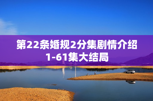 第22条婚规2分集剧情介绍1-61集大结局