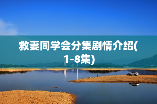 救妻同学会分集剧情介绍(1-8集)