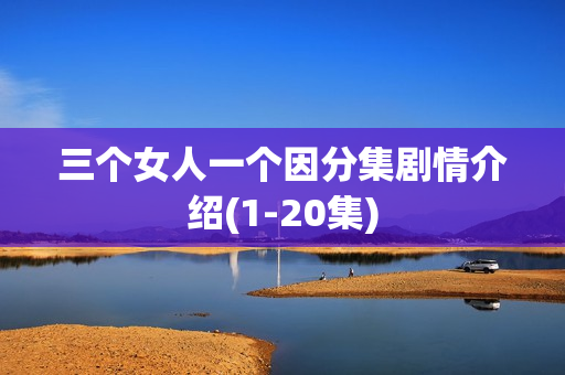 三个女人一个因分集剧情介绍(1-20集)