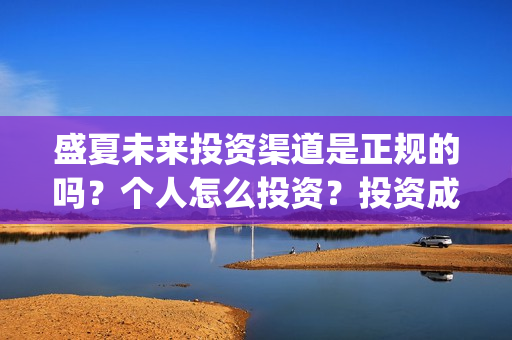 盛夏未来投资渠道是正规的吗？个人怎么投资？投资成本是多少？(盛夏未来能投吗)