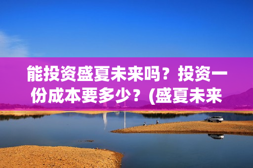 能投资盛夏未来吗？投资一份成本要多少？(盛夏未来电影投资项目)