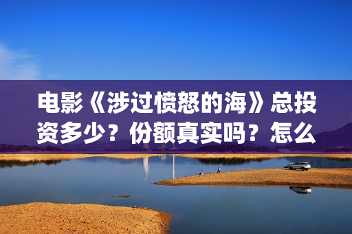 电影《涉过愤怒的海》总投资多少？份额真实吗？怎么参与投资？成本多少？(电影涉过愤怒的海演员表)