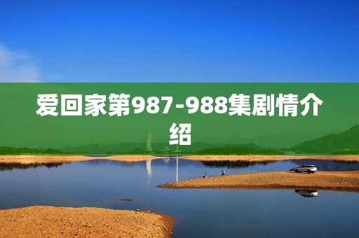 爱回家第987-988集剧情介绍 爱回家第987-988集剧情介绍