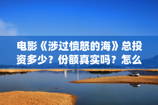 电影《涉过愤怒的海》总投资多少？份额真实吗？怎么参与投资？成本多(电影《涉过愤怒的海》免费观看)
