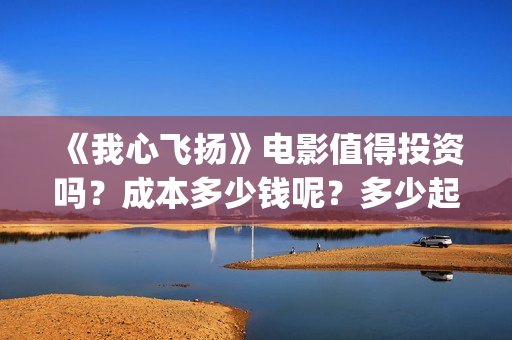 《我心飞扬》电影值得投资吗？成本多少钱呢？多少起投？(《我心飞扬》电影观后感)