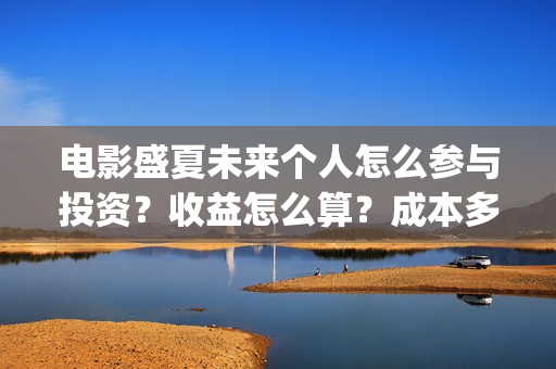 电影盛夏未来个人怎么参与投资？收益怎么算？成本多少？(《盛夏未来》电影)