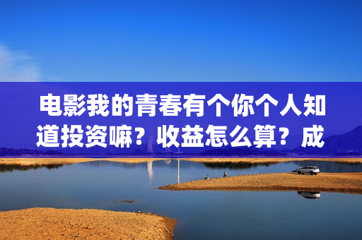 电影我的青春有个你个人知道投资嘛？收益怎么算？成本多少？(我的青春有_)