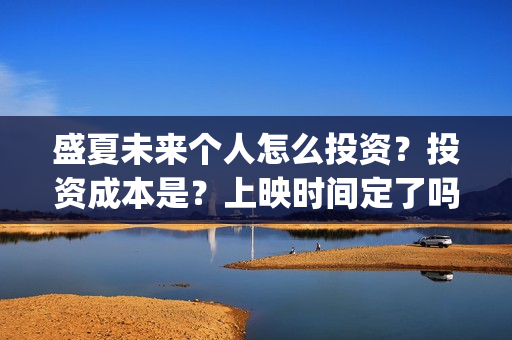 盛夏未来个人怎么投资？投资成本是？上映时间定了吗？(盛夏未来hey siri)