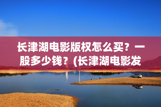 长津湖电影版权怎么买？一股多少钱？(长津湖电影发行)