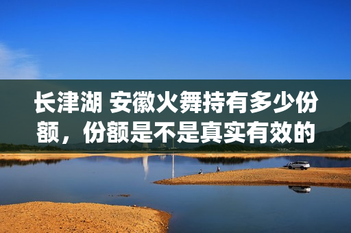 长津湖 安徽火舞持有多少份额，份额是不是真实有效的(长津湖火力不足)