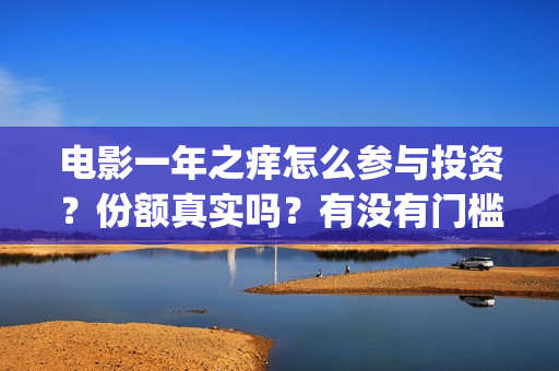 电影一年之痒怎么参与投资？份额真实吗？有没有门槛？(电影一年之痒怎么拍的)