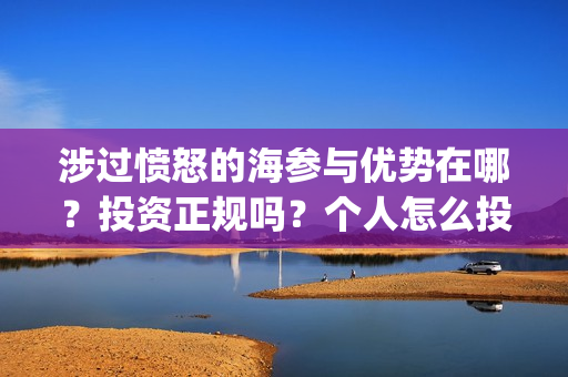 涉过愤怒的海参与优势在哪？投资正规吗？个人怎么投资？(涉过愤怒的海参演的日本演员)
