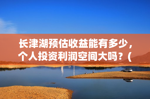 长津湖预估收益能有多少，个人投资利润空间大吗？(长津湖利好)