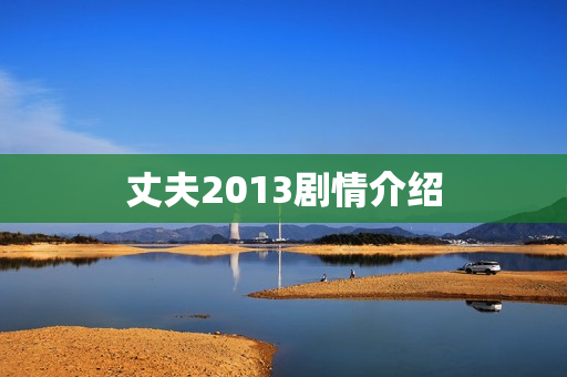 丈夫2013剧情介绍