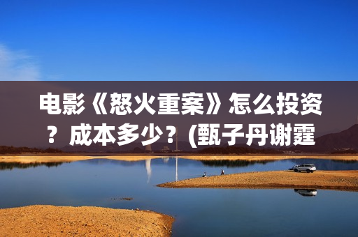 电影《怒火重案》怎么投资？成本多少？(甄子丹谢霆锋电影怒火重案)