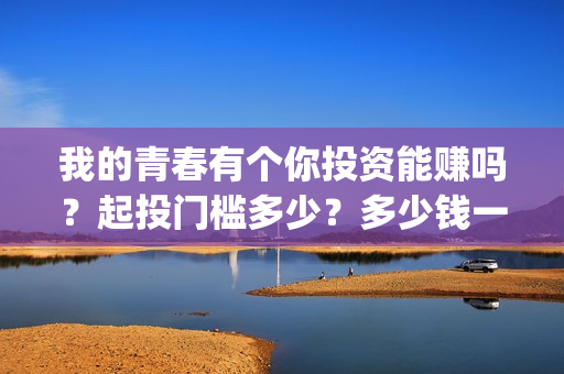 我的青春有个你投资能赚吗？起投门槛多少？多少钱一份？(我的青春有个你结局)