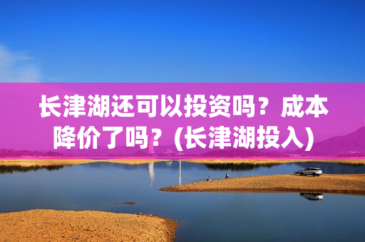 长津湖还可以投资吗？成本降价了吗？(长津湖投入)