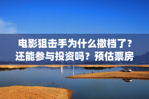 电影狙击手为什么撤档了？还能参与投资吗？预估票房能有多少呢？(狙击手电影为什么撤档)
