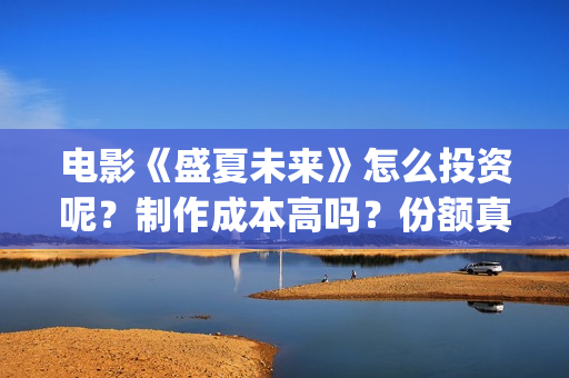 电影《盛夏未来》怎么投资呢？制作成本高吗？份额真实吗？在哪投？(盛夏未来 电影简介)