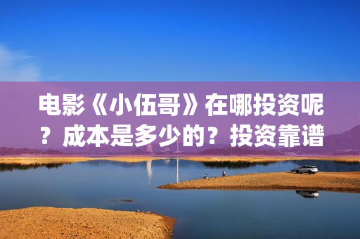 电影《小伍哥》在哪投资呢？成本是多少的？投资靠谱吗？(电影《小伍哥》免费观看)