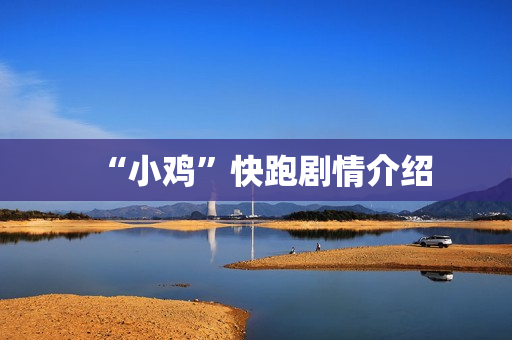 “小鸡”快跑剧情介绍