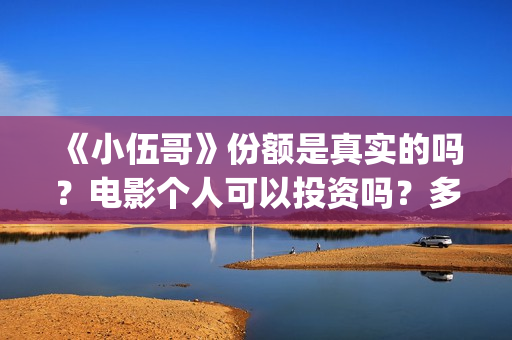 《小伍哥》份额是真实的吗？电影个人可以投资吗？多少起投呢？(小伍哥是谁呀)