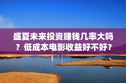 盛夏未来投资赚钱几率大吗？低成本电影收益好不好？(盛夏未来怎么投资)