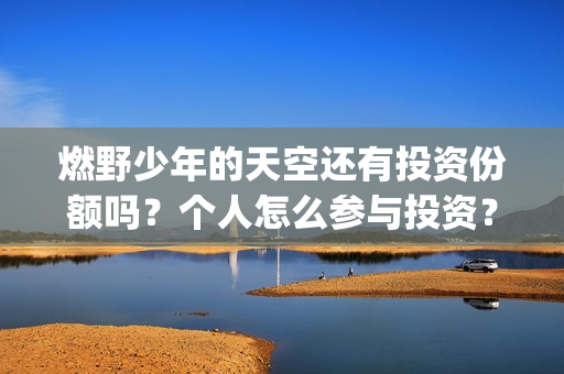 燃野少年的天空还有投资份额吗？个人怎么参与投资？成本多少？(燃野少年的天空电视剧免费观看全集)