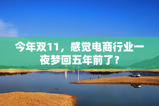 今年双11，感觉电商行业一夜梦回五年前了？