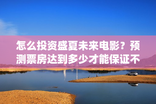 怎么投资盛夏未来电影？预测票房达到多少才能保证不亏损？(盛夏未来总投资)