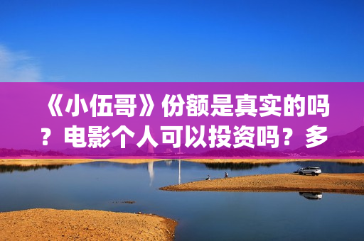 《小伍哥》份额是真实的吗？电影个人可以投资吗？多少起投呢？(小伍哥预计上映时间)