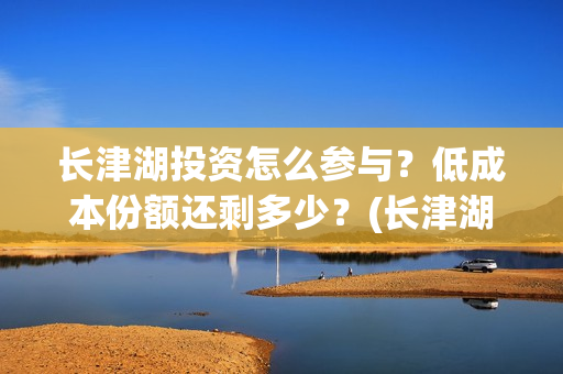 长津湖投资怎么参与？低成本份额还剩多少？(长津湖哪里投资)