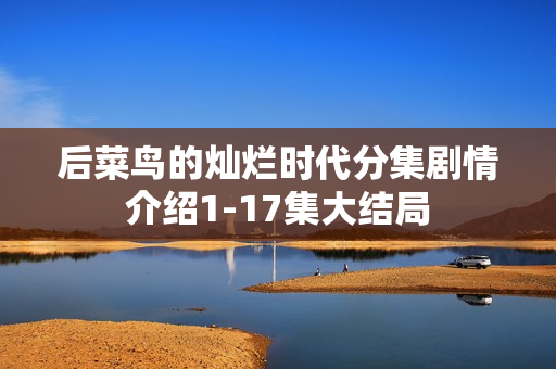 后菜鸟的灿烂时代分集剧情介绍1-17集大结局