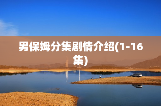 男保姆分集剧情介绍(1-16集)