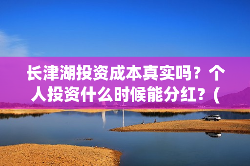 长津湖投资成本真实吗？个人投资什么时候能分红？(长津湖总投资多少钱)