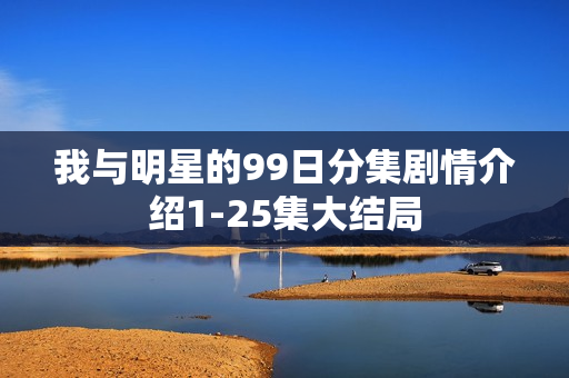 我与明星的99日分集剧情介绍1-25集大结局